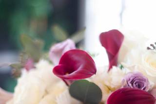 Image Gallery Photography - 6