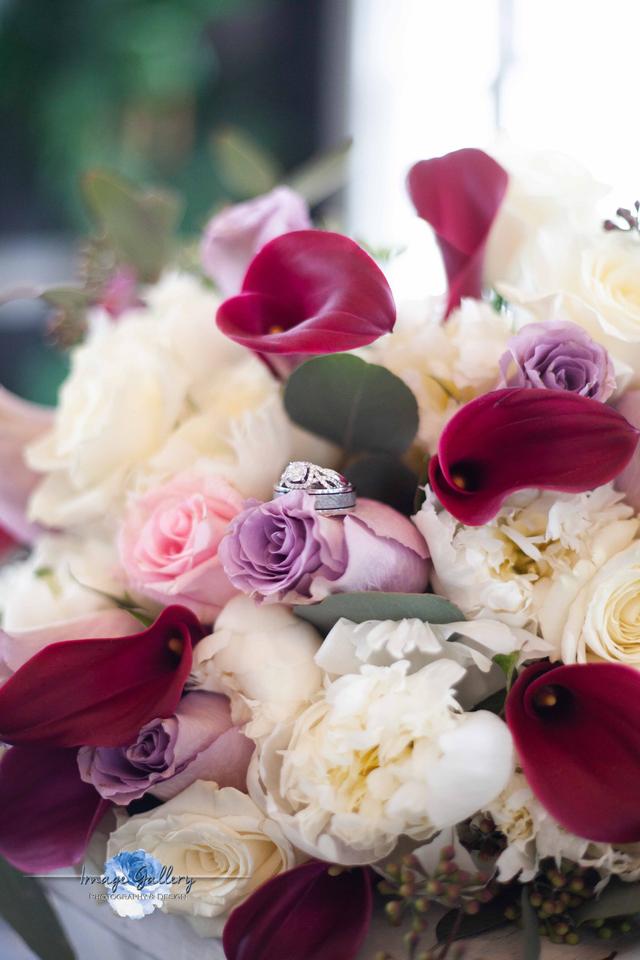 Image Gallery Photography - 1