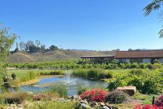 Truffle Pig Winery by Wedgewood Weddings - 26