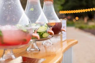 Trumpet Vine Catering - 11