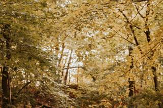 Jmark Photography - 26