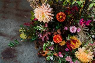 Bird Watching & Pruning Floral - 21