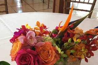 Miami Centerpieces, LLC - 185