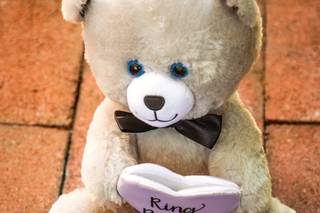 krisann photography - 29