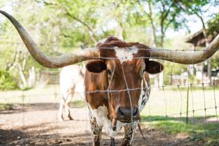 Harper Hill Ranch - 30