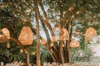 Tropical Occasions - 33