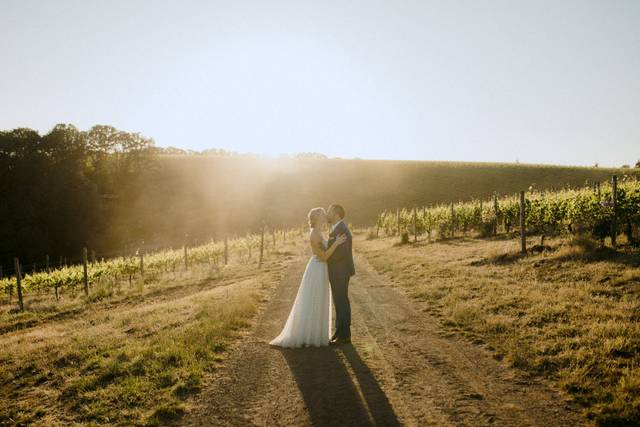 Maysara Winery & Momtazi Vineyards 1