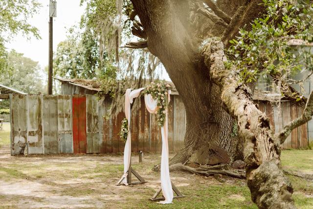 Christian Harwell Photography - 4
