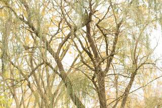 Lindsey Zitzke Photography - 88