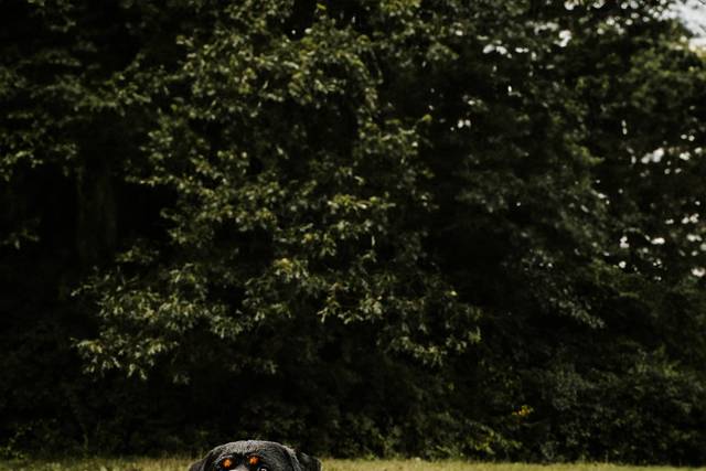 Caroline Gilbody Photography 2