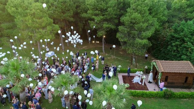 NEDA Decorations - 1