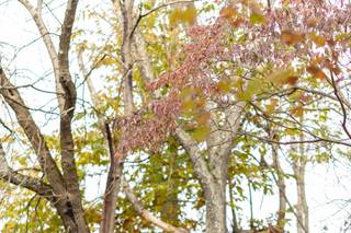 Gary Flom Wedding Photography - 46