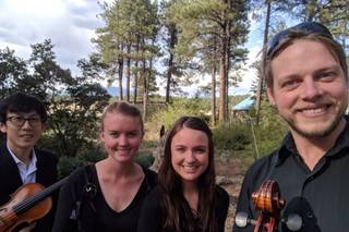 Skylight City String Quartet - 8