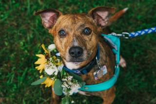 Brad Barnwell Photography - 57