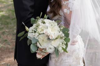 Shimmy Photography - 7