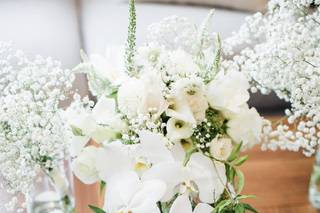 Blooms Dunn Right - 96