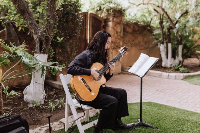 Elegant Spanish Guitar, Miguel de Maria 4