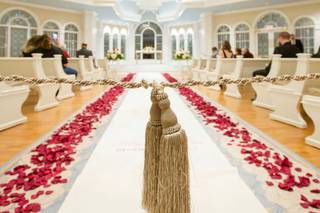 Nelson Photography - 9