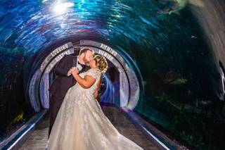 Adventure Aquarium - 31