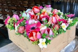 Humble Flowers - 8
