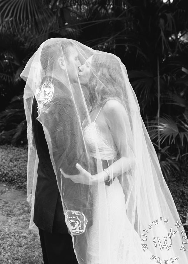 Willow's World Photo - 2