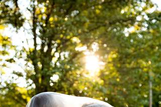 Azzolina Photography - 17