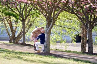 Philip Andrews Photography LLC - 7