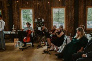 Stillwater String Quartet - 13