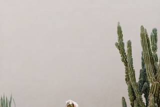 Galway Downs by Wedgewood Weddings - 52