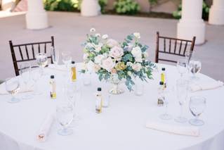 Primrose and Petals - 66