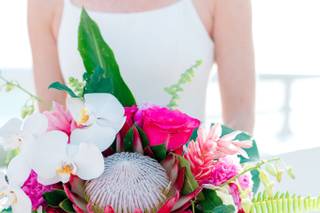 Brandy Grace Photography - 5