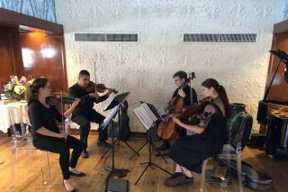 Simply Strings - 6