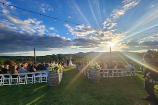 Terry Kaye Events - 18