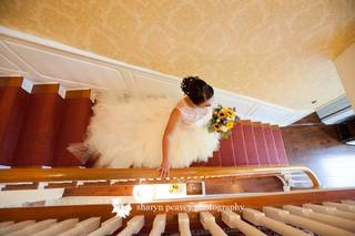 Sharyn Peavey Photography - 11