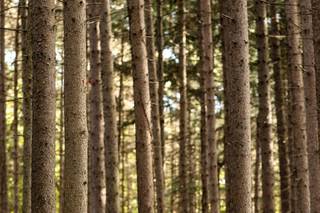 Heather Ferreria Photography - 45