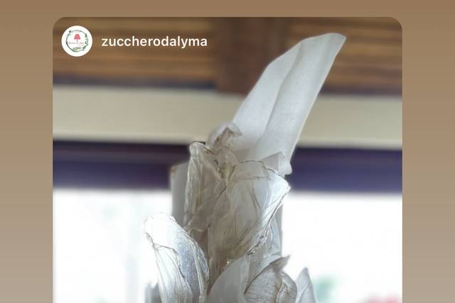 Zucchero da Lyma 1