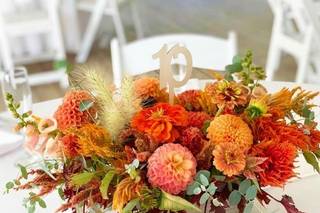 Jayflora Designs - 13