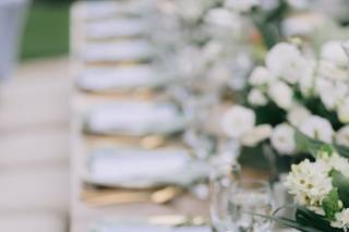Viviana Vieto Photography - 14