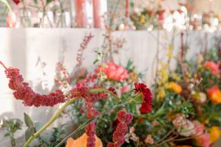 Pejy Kash Events - 8