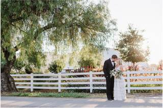 Michele Carroll Events - 13