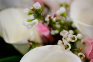 Studio 25 Wedding Photography - 11