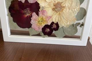 White Poppy Preservation - 50