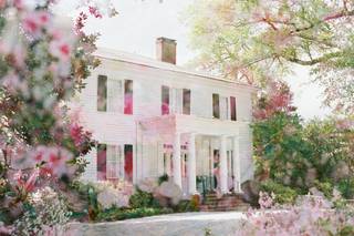 Primrose Cottage by Wedgewood Weddings - 39