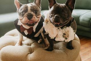 Smile ‘N’ Wag - 7