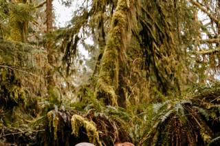 Allison Lauryn Photography - 85