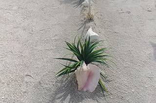 Florida Beach Weddings by Weddings On a Whim - 61