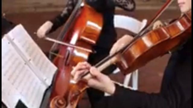 Drella String Quartet - 4