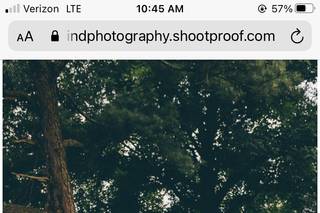 Caitlin D. Photography - 11