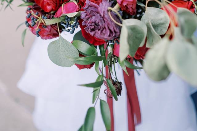 Denise Marie Photography 4