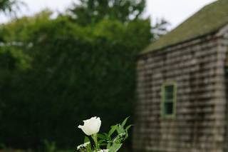 The Flower Pot - 28